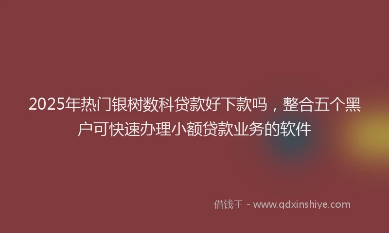 2025年热门银树数科贷款好下款吗，整合五个黑户可快速办理小额贷款业务的软件
