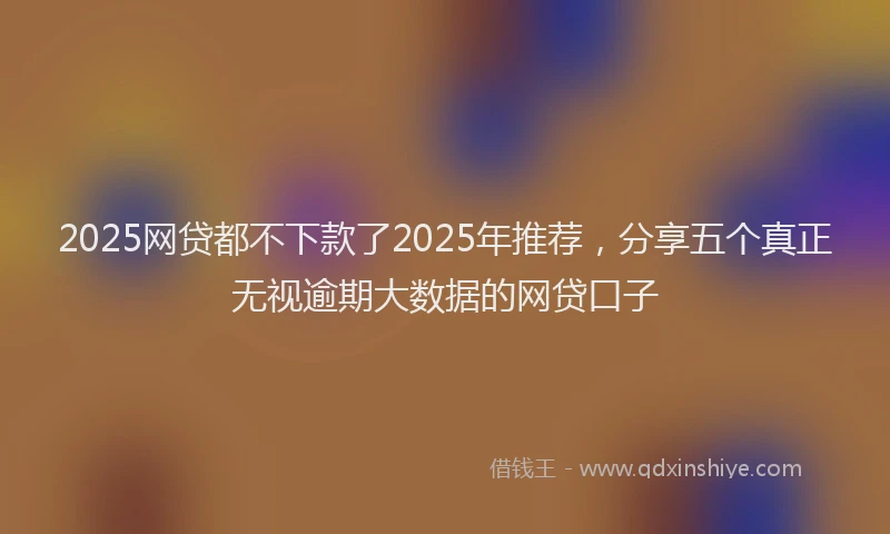 2025网贷都不下款了2025年推荐，分享五个真正无视逾期大数据的网贷口子