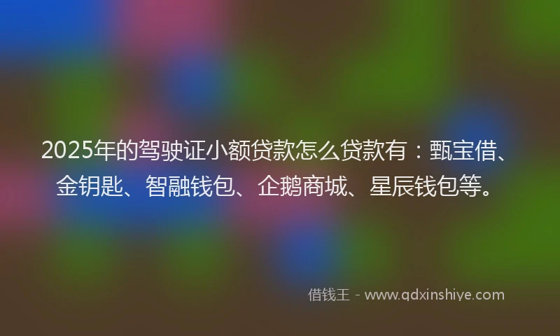 2025年的驾驶证小额贷款怎么贷款有：甄宝借、金钥匙、智融钱包、企鹅商城、星辰钱包等。