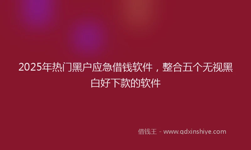 2025年热门黑户应急借钱软件，整合五个无视黑白好下款的软件
