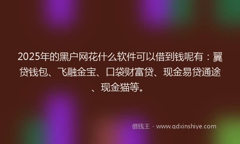 2025年的黑户网花什么软件可以借到钱呢有：翼贷钱包、飞融金宝、口袋财富贷、现金易贷通途、现金猫等。