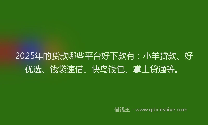 2025年的货款哪些平台好下款有：小羊贷款、好优选、钱袋速借、快鸟钱包、掌上贷通等。