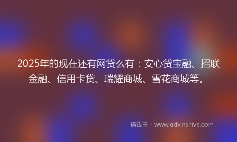 2025年的现在还有网贷么有：安心贷宝融、招联金融、信用卡贷、瑞耀商城、雪花商城等。