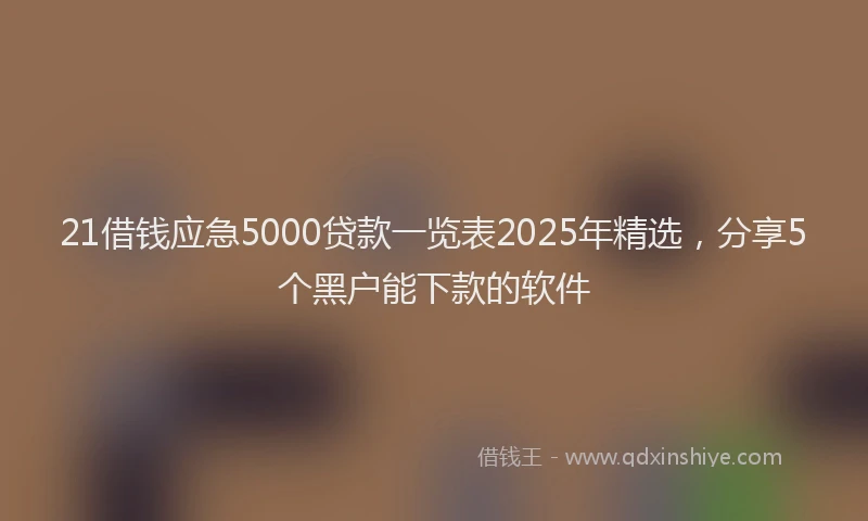 21借钱应急5000贷款一览表2025年精选，分享5个黑户能下款的软件