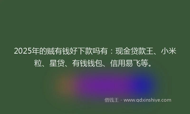 2025年的贼有钱好下款吗有：现金贷款王、小米粒、星贷、有钱钱包、信用易飞等。
