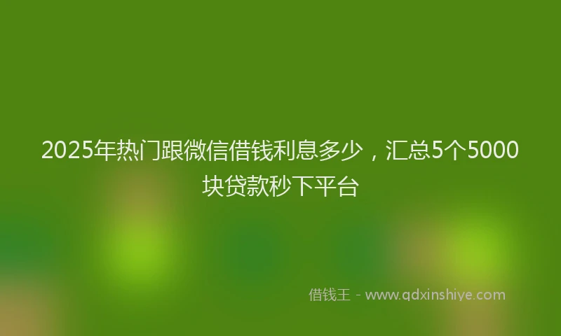 2025年热门跟微信借钱利息多少，汇总5个5000块贷款秒下平台