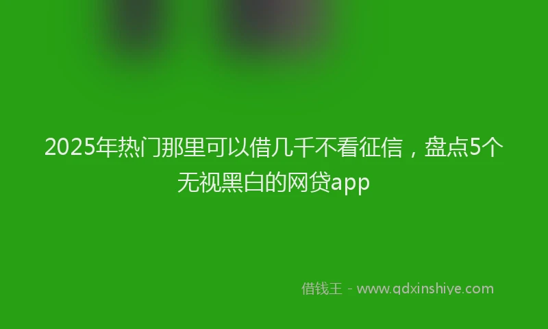 2025年热门那里可以借几千不看征信，盘点5个无视黑白的网贷app