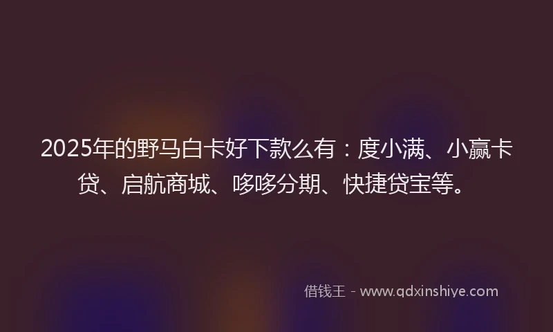 2025年的野马白卡好下款么有：度小满、小赢卡贷、启航商城、哆哆分期、快捷贷宝等。