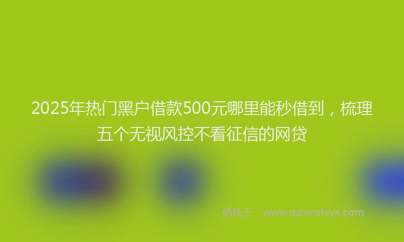 2025年热门黑户借款500元哪里能秒借到，梳理五个无视风控不看征信的网贷