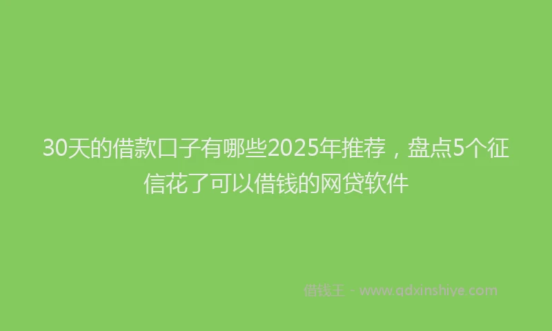 30天的借款口子有哪些2025年推荐，盘点5个征信花了可以借钱的网贷软件