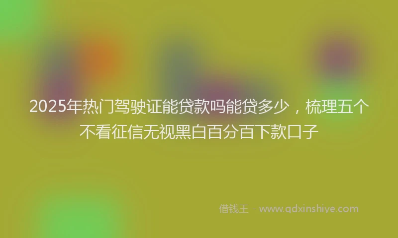 2025年热门驾驶证能贷款吗能贷多少，梳理五个不看征信无视黑白百分百下款口子
