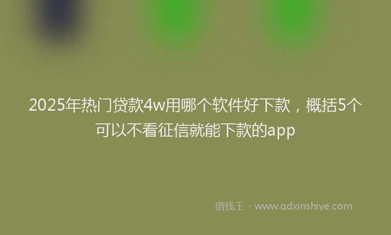 2025年热门贷款4w用哪个软件好下款，概括5个可以不看征信就能下款的app