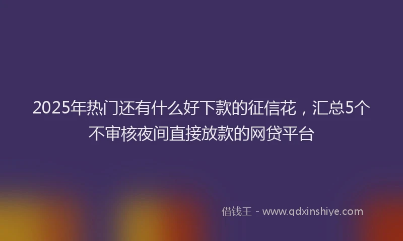 2025年热门还有什么好下款的征信花，汇总5个不审核夜间直接放款的网贷平台