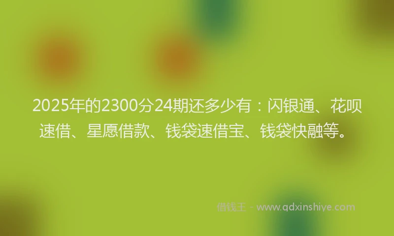2025年的2300分24期还多少有：闪银通、花呗速借、星愿借款、钱袋速借宝、钱袋快融等。