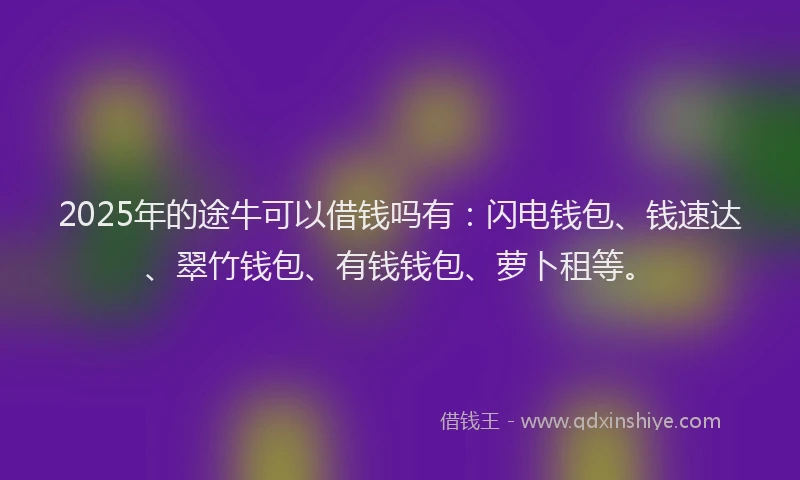 2025年的途牛可以借钱吗有：闪电钱包、钱速达、翠竹钱包、有钱钱包、萝卜租等。