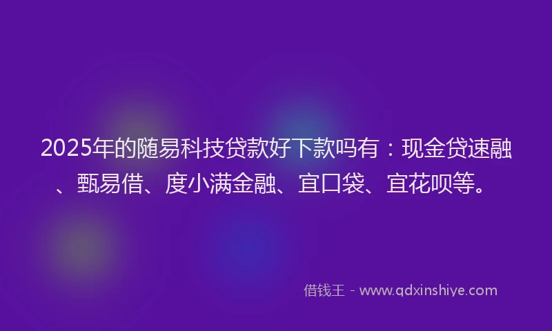 2025年的随易科技贷款好下款吗有：现金贷速融、甄易借、度小满金融、宜口袋、宜花呗等。