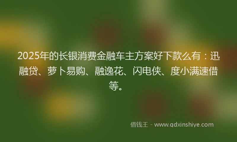 2025年的长银消费金融车主方案好下款么有：迅融贷、萝卜易购、融逸花、闪电侠、度小满速借等。