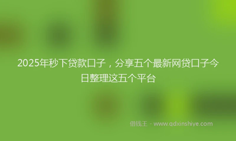 2025年秒下贷款口子，分享五个最新网贷口子今日整理这五个平台