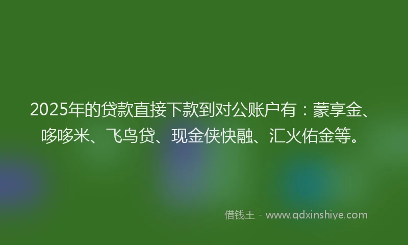 2025年的贷款直接下款到对公账户有：蒙享金、哆哆米、飞鸟贷、现金侠快融、汇火佑金等。
