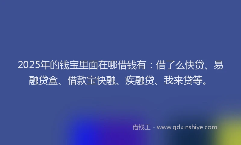 2025年的钱宝里面在哪借钱有：借了么快贷、易融贷盒、借款宝快融、疾融贷、我来贷等。