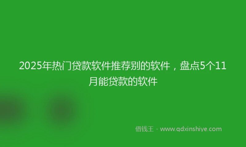 2025年热门贷款软件推荐别的软件，盘点5个11月能贷款的软件