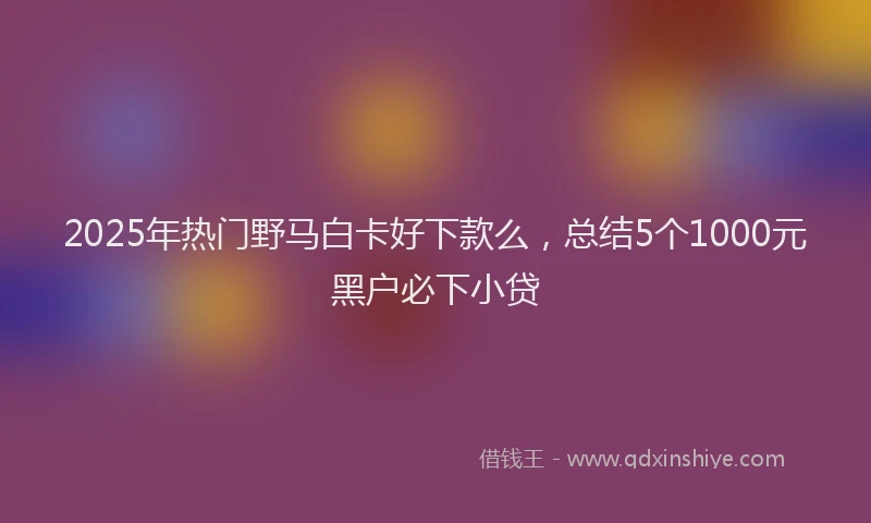 2025年热门野马白卡好下款么，总结5个1000元黑户必下小贷
