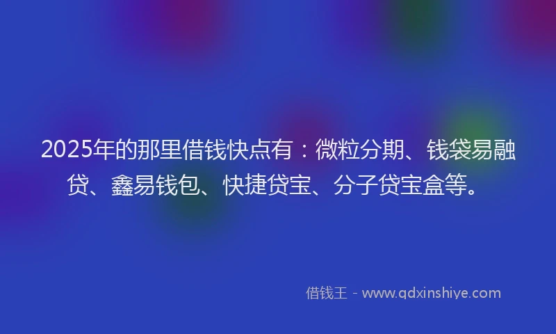 2025年的那里借钱快点有：微粒分期、钱袋易融贷、鑫易钱包、快捷贷宝、分子贷宝盒等。