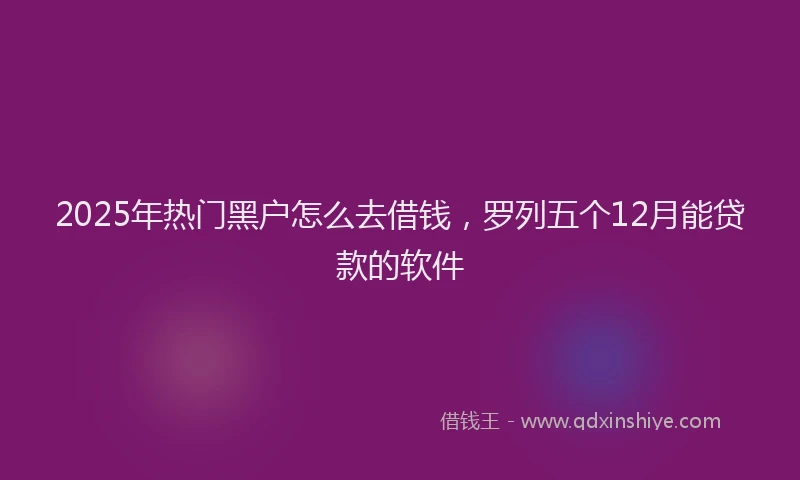 2025年热门黑户怎么去借钱，罗列五个12月能贷款的软件