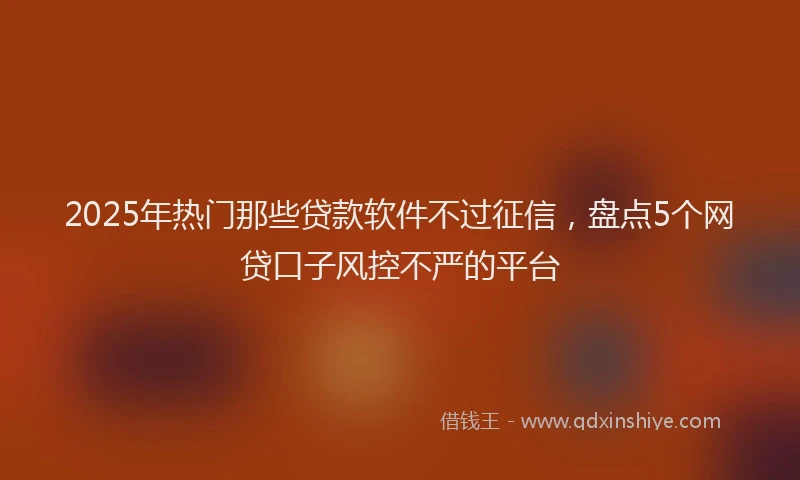 2025年热门那些贷款软件不过征信，盘点5个网贷口子风控不严的平台