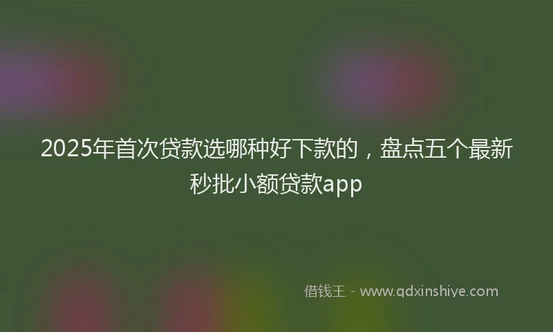 2025年首次贷款选哪种好下款的，盘点五个最新秒批小额贷款app