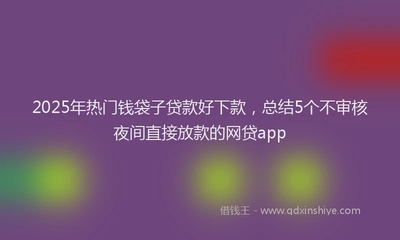 2025年热门钱袋子贷款好下款，总结5个不审核夜间直接放款的网贷app