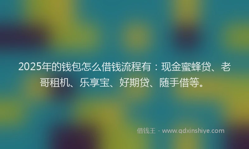 2025年的钱包怎么借钱流程有：现金蜜蜂贷、老哥租机、乐享宝、好期贷、随手借等。