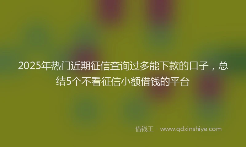 2025年热门近期征信查询过多能下款的口子，总结5个不看征信小额借钱的平台