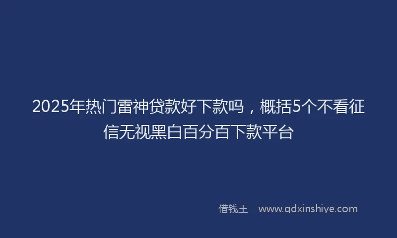 2025年热门雷神贷款好下款吗，概括5个不看征信无视黑白百分百下款平台