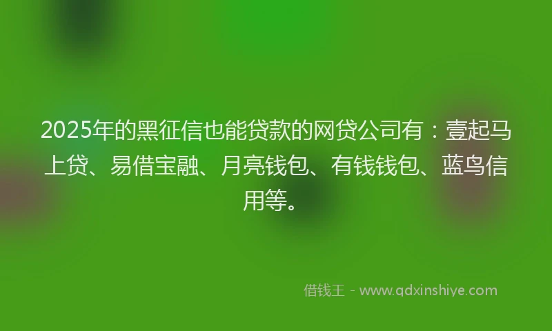 2025年的黑征信也能贷款的网贷公司有：壹起马上贷、易借宝融、月亮钱包、有钱钱包、蓝鸟信用等。