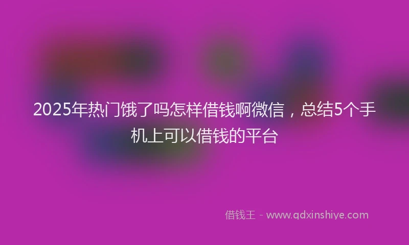 2025年热门饿了吗怎样借钱啊微信，总结5个手机上可以借钱的平台