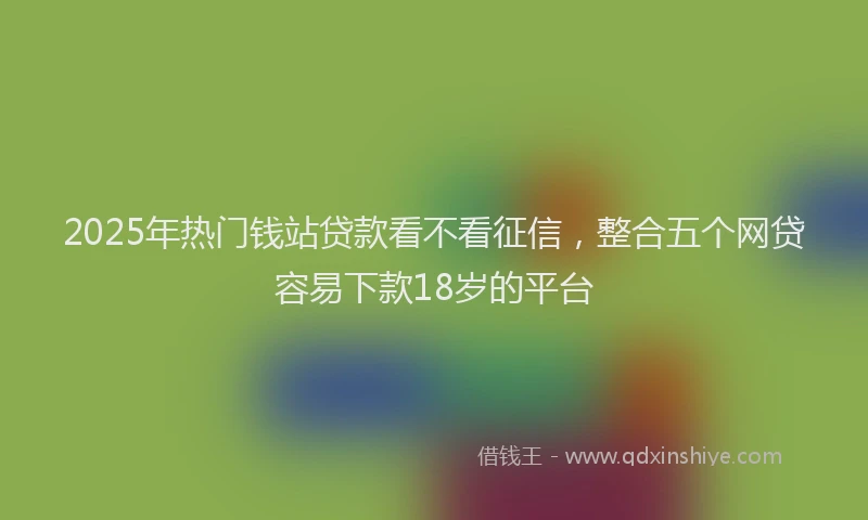 2025年热门钱站贷款看不看征信，整合五个网贷容易下款18岁的平台