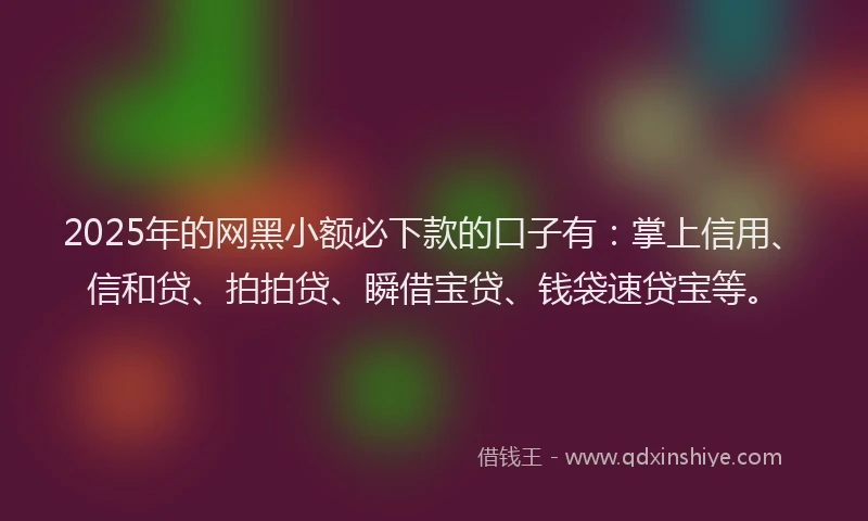 2025年的网黑小额必下款的口子有：掌上信用、信和贷、拍拍贷、瞬借宝贷、钱袋速贷宝等。