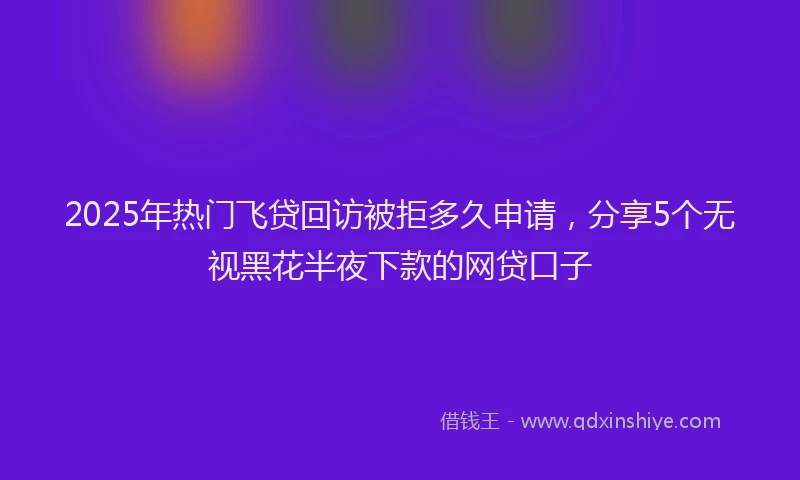 2025年热门飞贷回访被拒多久申请，分享5个无视黑花半夜下款的网贷口子