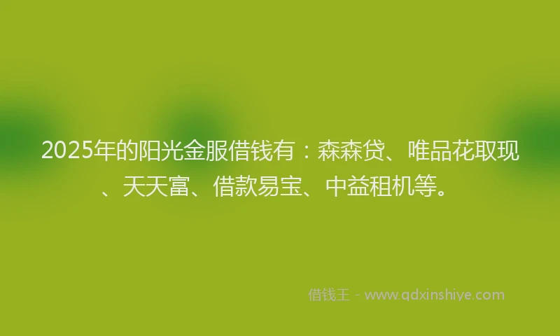 2025年的阳光金服借钱有：森森贷、唯品花取现、天天富、借款易宝、中益租机等。