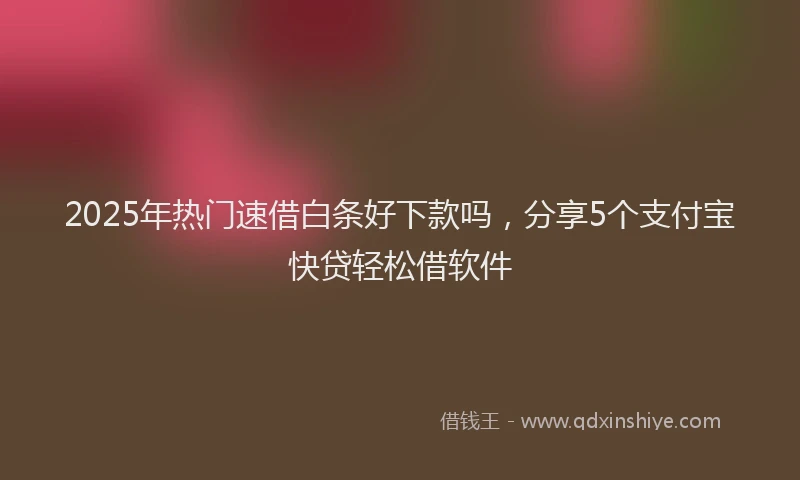 2025年热门速借白条好下款吗，分享5个支付宝快贷轻松借软件