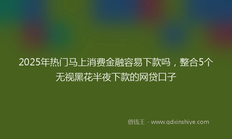 2025年热门马上消费金融容易下款吗，整合5个无视黑花半夜下款的网贷口子