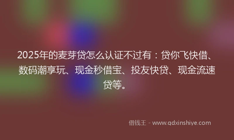 2025年的麦芽贷怎么认证不过有：贷你飞快借、数码潮享玩、现金秒借宝、投友快贷、现金流速贷等。