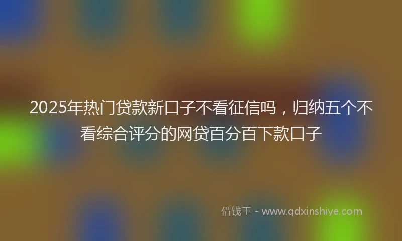 2025年热门贷款新口子不看征信吗，归纳五个不看综合评分的网贷百分百下款口子