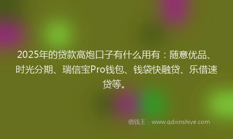 2025年的贷款高炮口子有什么用有：随意优品、时光分期、瑞信宝Pro钱包、钱袋快融贷、乐借速贷等。