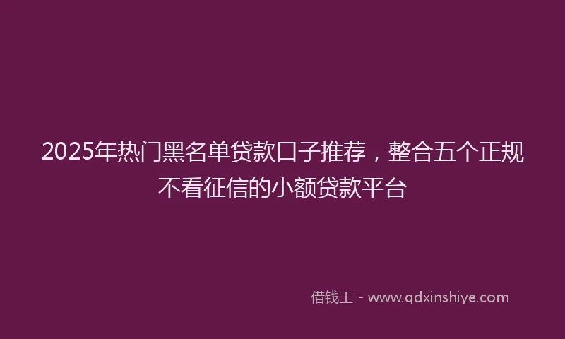 2025年热门黑名单贷款口子推荐，整合五个正规不看征信的小额贷款平台