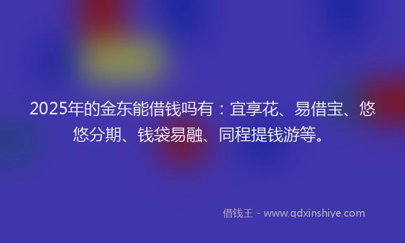 2025年的金东能借钱吗有：宜享花、易借宝、悠悠分期、钱袋易融、同程提钱游等。