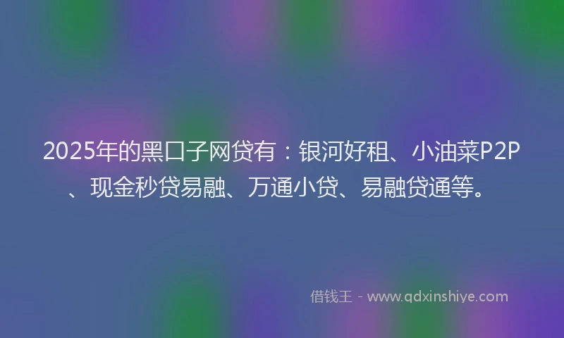 2025年的黑口子网贷有：银河好租、小油菜P2P、现金秒贷易融、万通小贷、易融贷通等。