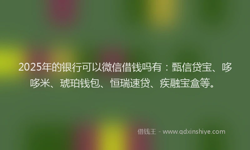 2025年的银行可以微信借钱吗有：甄信贷宝、哆哆米、琥珀钱包、恒瑞速贷、疾融宝盒等。