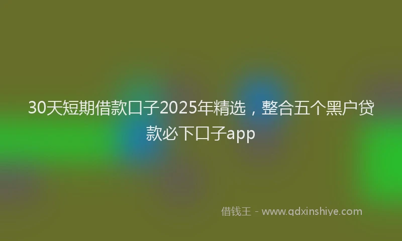 30天短期借款口子2025年精选，整合五个黑户贷款必下口子app